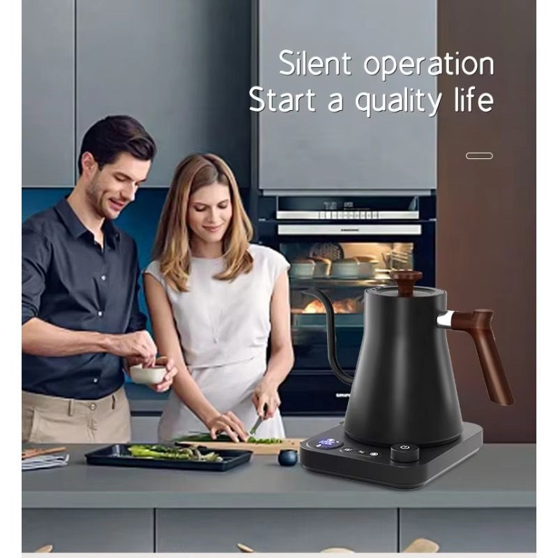 New Design Fish Smart Electric - Electric Kettle Gooseneck review and price