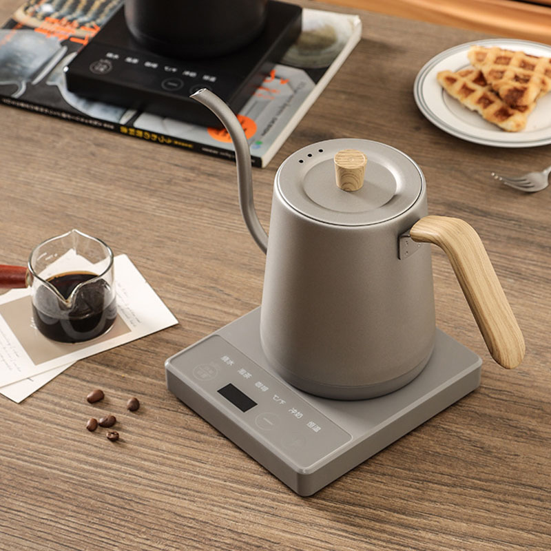 110v 220v Kettle teapot goose  - Electric Kettle Gooseneck review and price