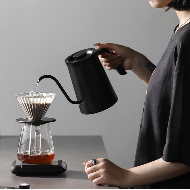 MHW-3BOMBER Electric Temperatu - Electric Kettle Gooseneck review and price