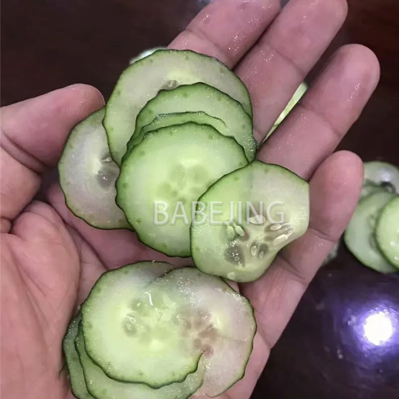Electric Mini Scallion Chopper - Kitchen Appliances Commercial review and price